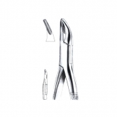 Extracting Forceps American Pattern